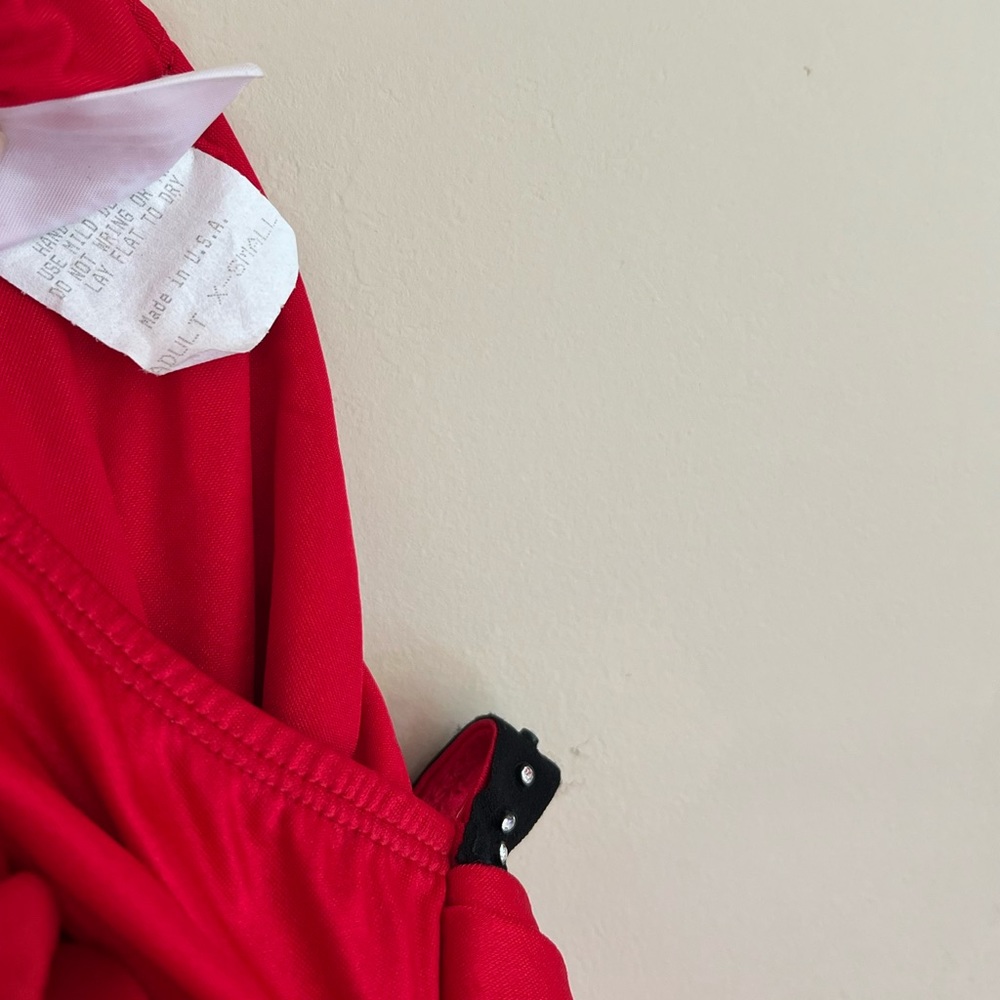 Ruby Gem Costume - image 7